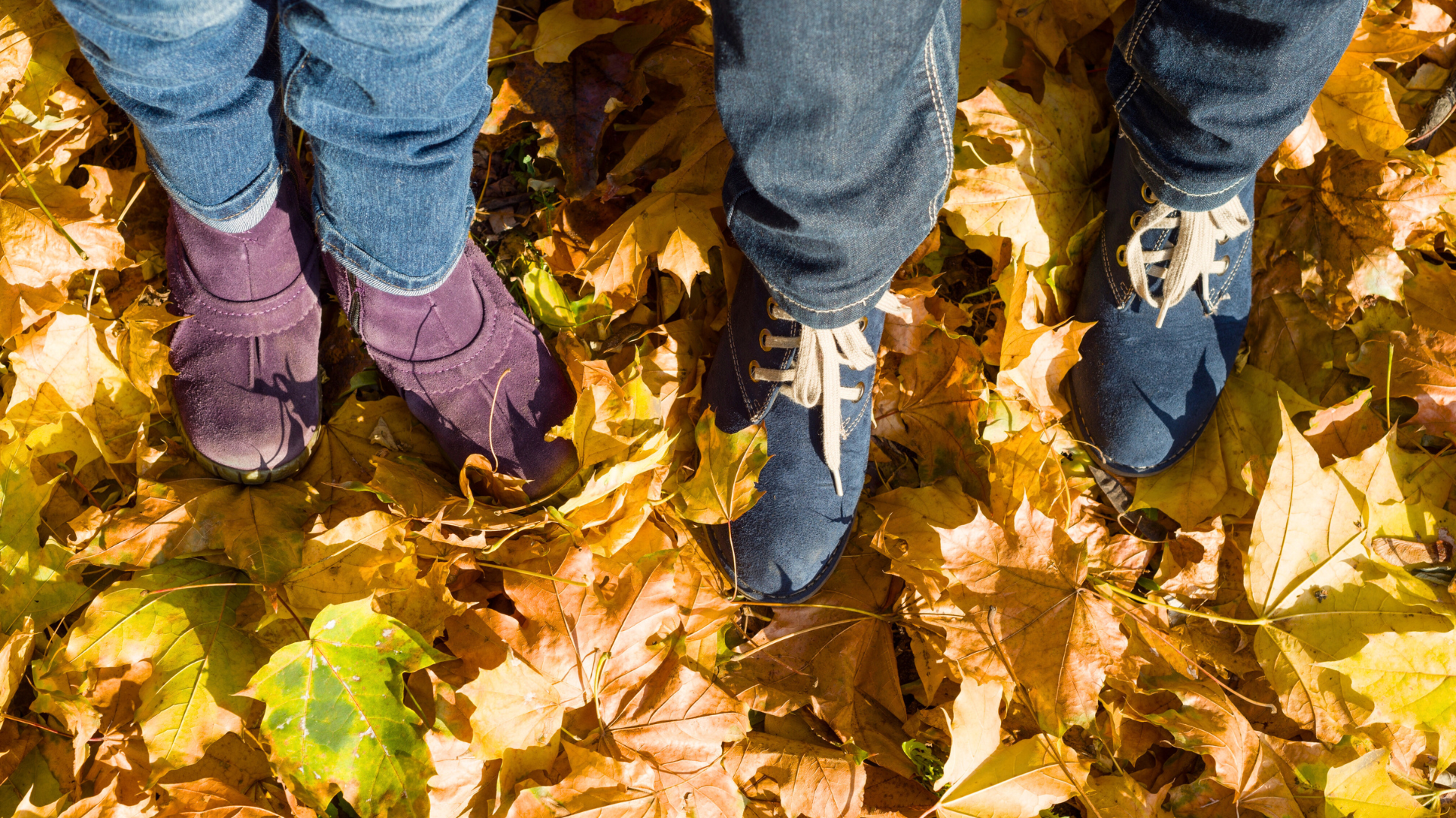 persons in the dried leaves field