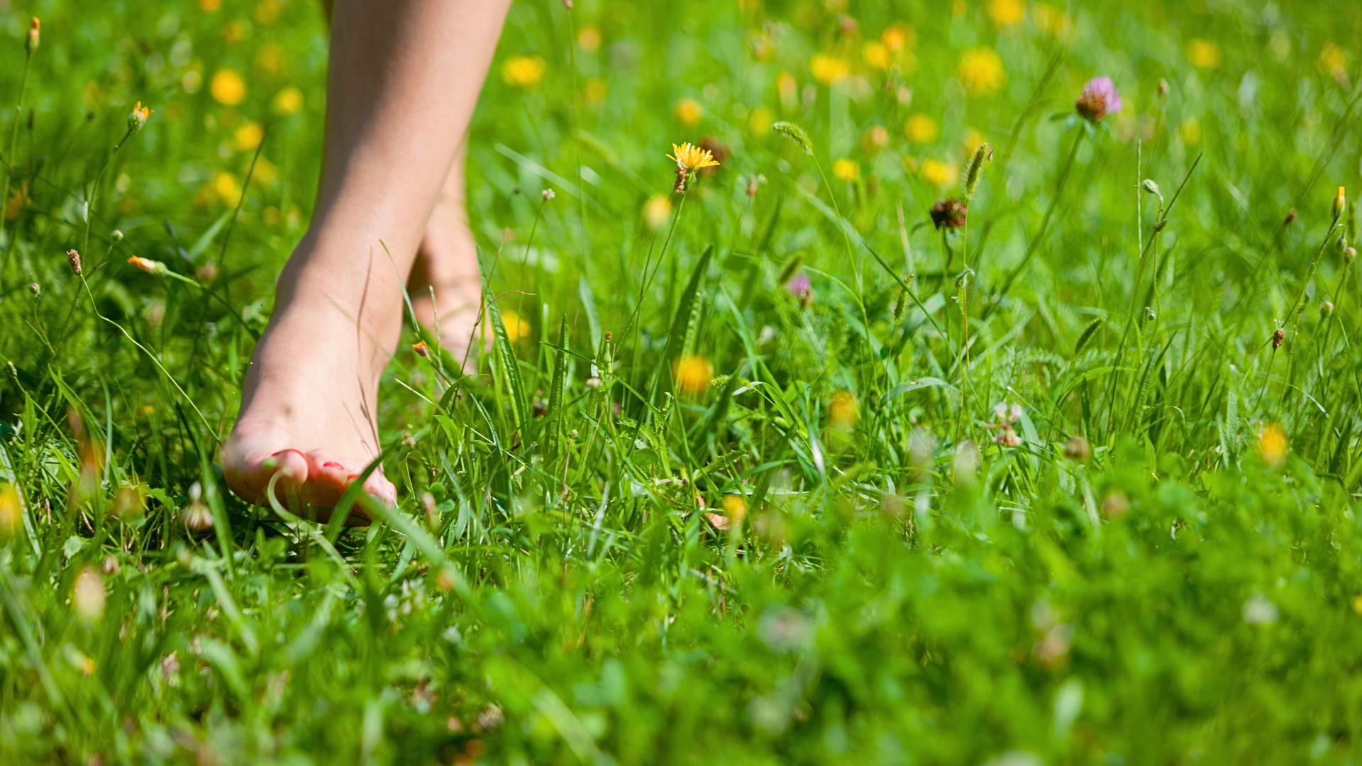woman barefoot in the grass