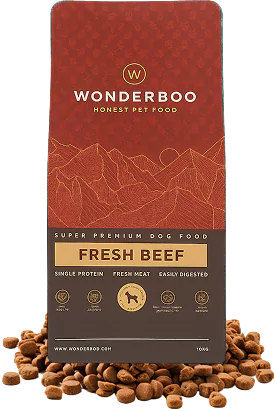 wonderboo.webp__PID:7847a479-b4d1-4d87-9e1d-8a9227aae9fd