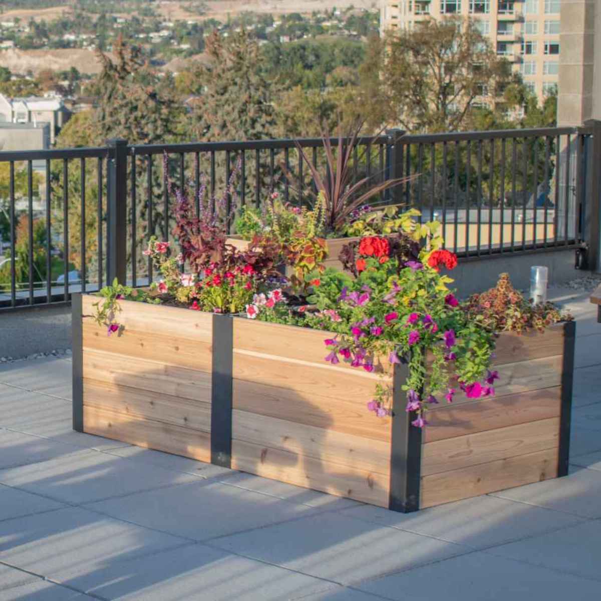Corner rooftop garden features a wooden raised bed overflowing with colorful flowers, offering visual inspiration for How to Start a Raised Garden Bed in urban spaces
