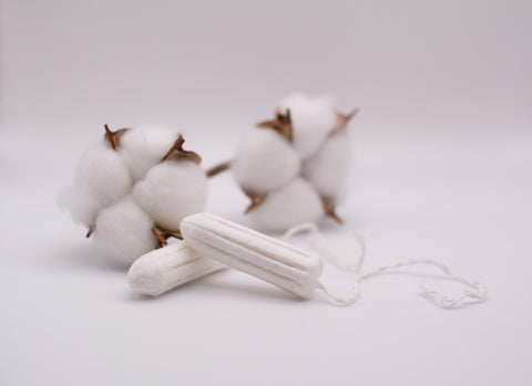 two tampons on surface with unprocessed cotton in background