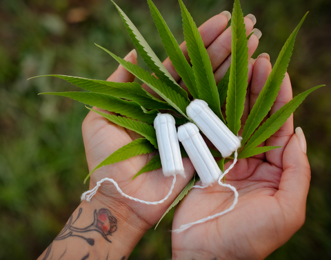 two hands holding three hemp tampons in a hemp field
