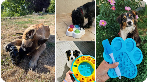 Les jouets pour chien : comment choisir les bons produits ?