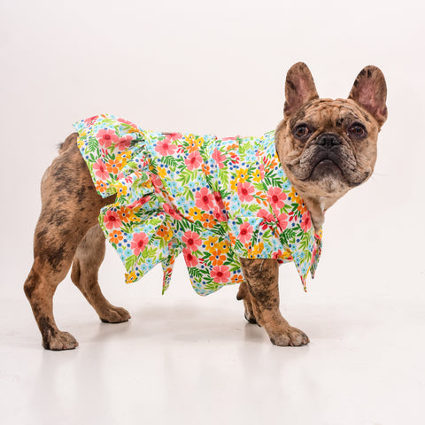 Moda Perros: Descubre Aquí las Tendencias Primavera-Verano DOGTLAN