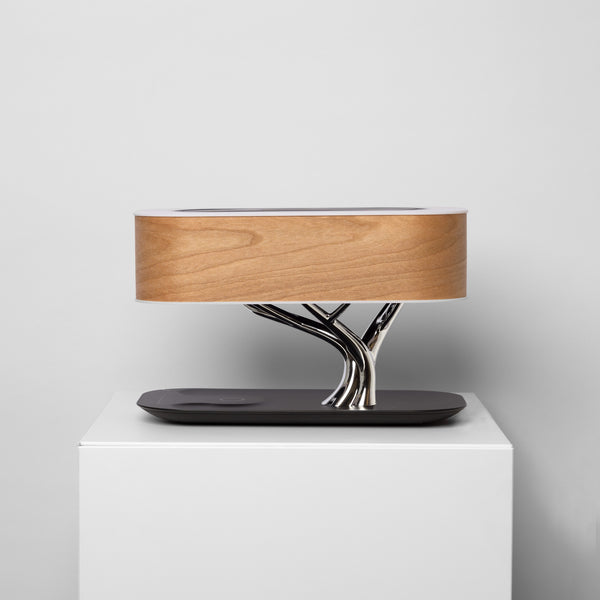 Speaker and Wireless Charger for Stylish Convenience and Ambiance – Ozarké