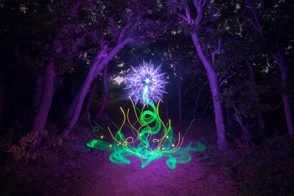 Light Painting Tutorial - How To Light Paint a Flower 