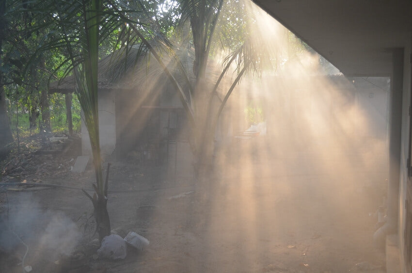 sun and dust in the backyard