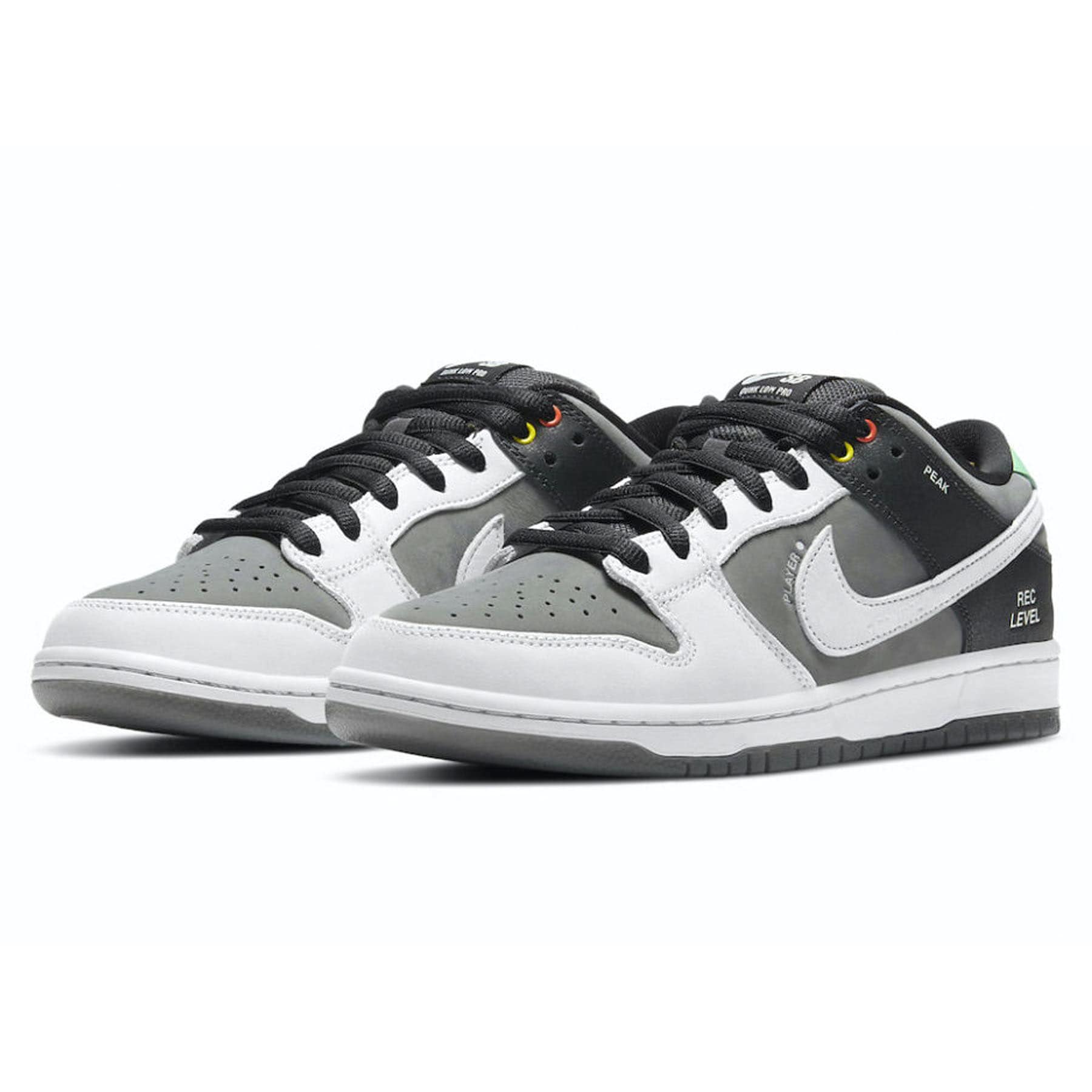 dunk low sb camcorder