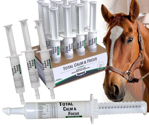 Ramard Total Calm & Focus in Oral Gel Syringe