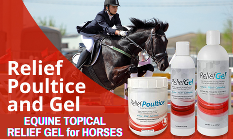 Ramard Total Relief Gel.  Gel Topical Pain Relief for horses.