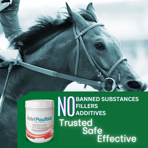 Ramard Poultice for Horses contains no banned substances, additive, and fillers.