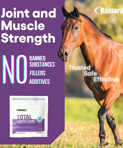 TOTAL LACTIC CARE IS A HEALTH AND WELLNESS SUPPLEMENT FOR PERFORMANCE HORSES