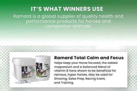 TOTAL CALM & FOCUS - THE BEST SUPPLEMENTS FOR HIGH PERFORMANCE HORSES