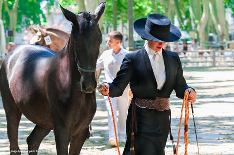 TOTAL CALM AND FOCUS HORSE SUPPLEMENTS