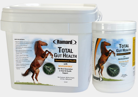 RAMARD TOTAL GUT HEALTH SUPPLEMENTS FOR HORSES