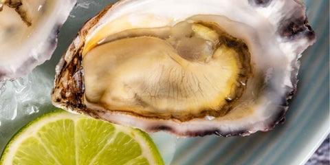 Sydney Rock Oyster