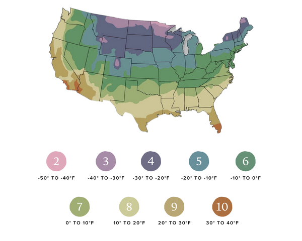 USDA Hardiness Zone Map