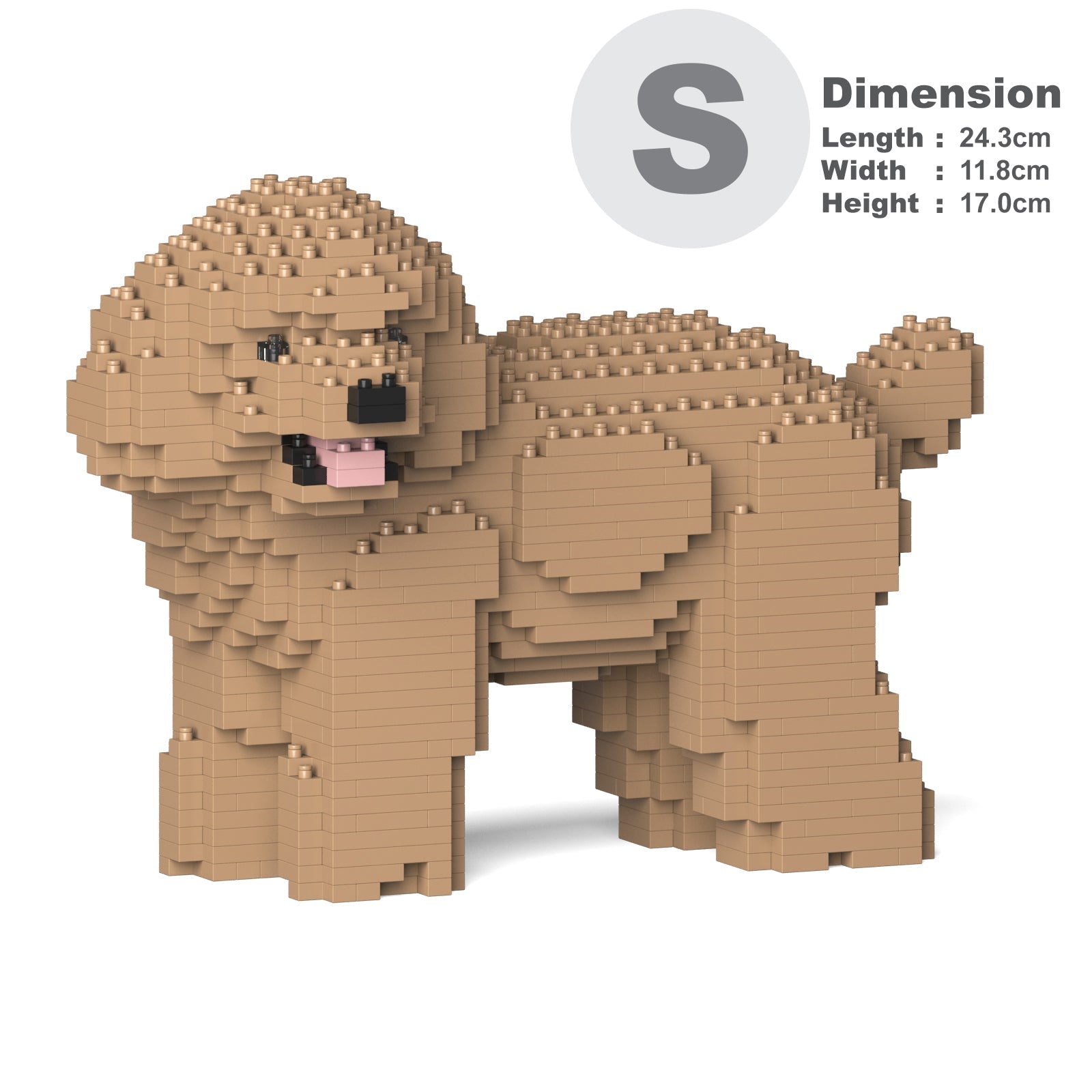 Toy Poodle 03-M03 – JEKCA US