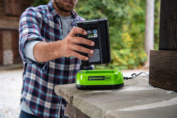 Greenworks battery charger
