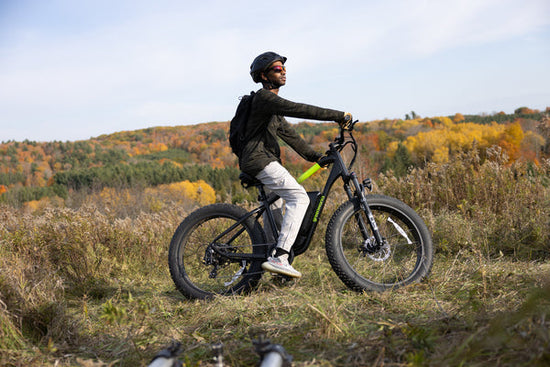 Man riding Greenworks 26