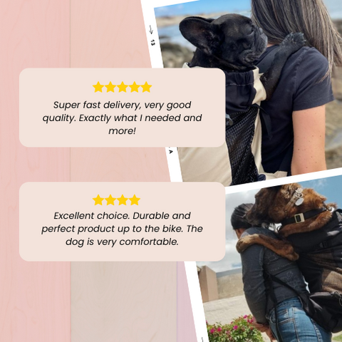 Dog Carrier Backpack - Large & Small Dogs | GROOMY