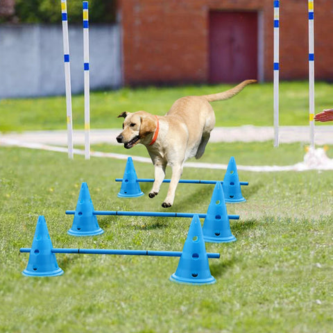 Dog Agility Cones and Poles - GROOMY