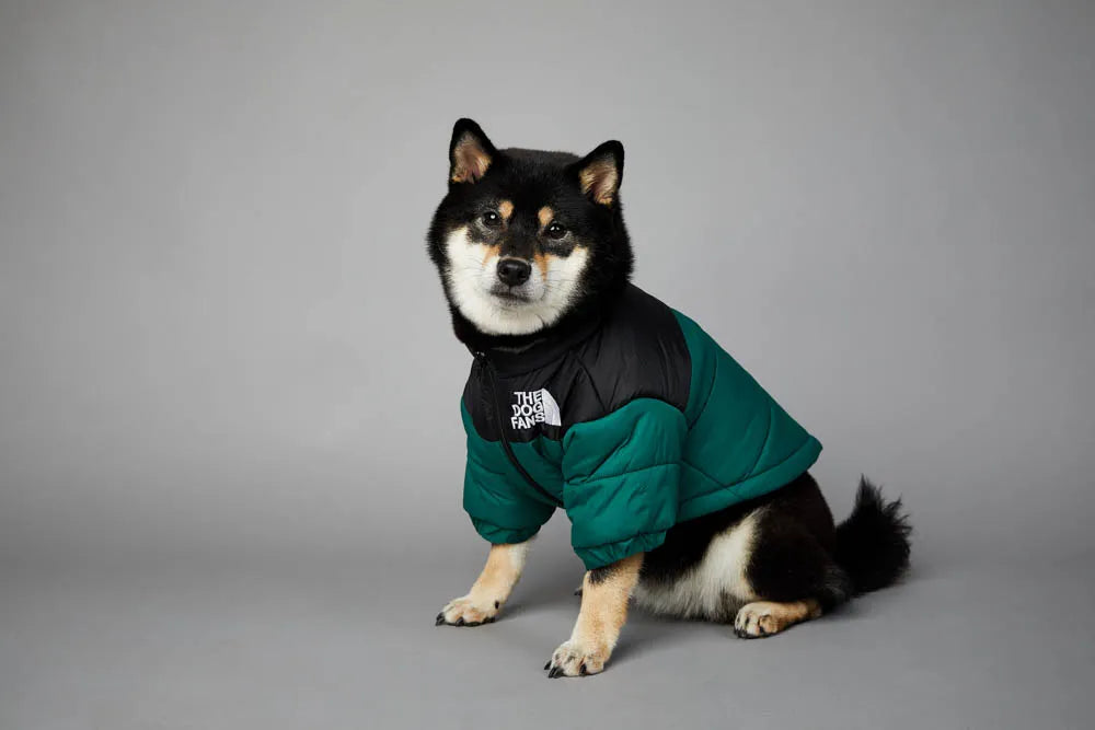 The Dog Face Jacket - Type B