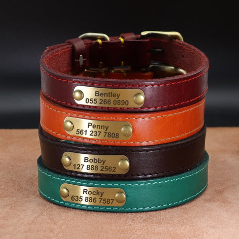 Custom Dog Leather Collar - Engrave Your Pet's ID | GROOMY