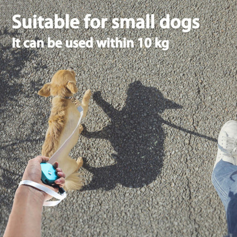 Mini Retractable Dog Leash