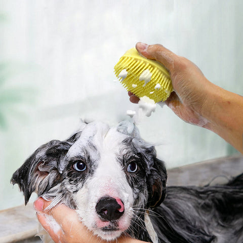 dog shampoo brush