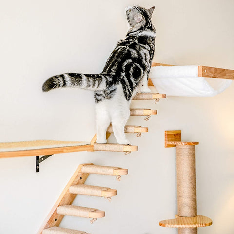Cat Wall Shelves - Wall Mounted Shelves | GROOMY
