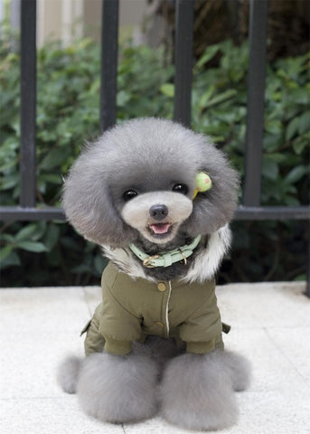 Dog Winter Jacket - Dog & Cat Apparel | GROOMY