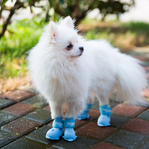 Dog Waterproof Shoes - Dog & Cat Apparel | GROOMY