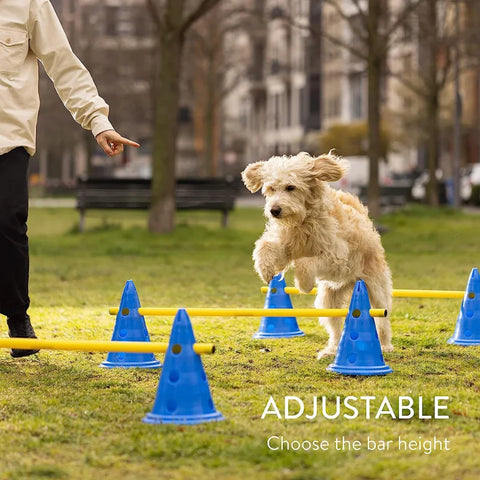 Dog Agility Cones and Poles - Type B | GROOMY