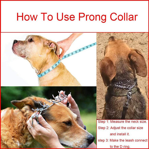 Dog Pincher Collar- Groomy