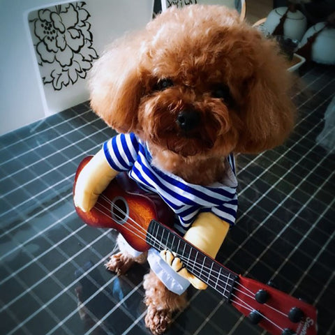 Pet Guitar Costume- Groomy