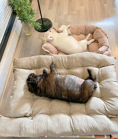 Fluffy Dog Beds - Comfortable Sleeping Beds