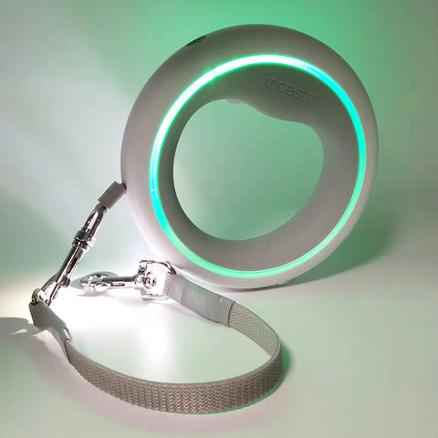 Smart LED Retractable Dog Leash - Keep Your Dog Safe at Night | GROOMY