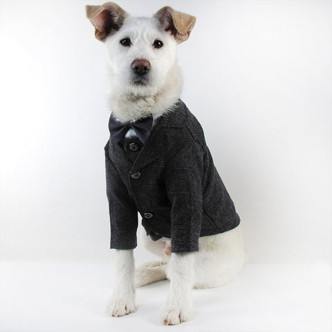 Gentleman Dog Suit Vest - Groomy