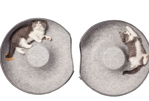 Donut Cat Cave - Groomy