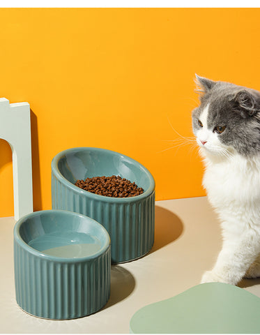 Elevated Bowl -  Raised Cat & Dog Bow l GROOMY