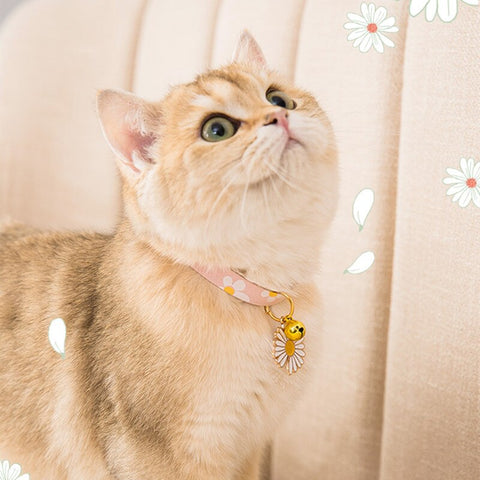 Cat Collar Necklace with Bell - Groomy