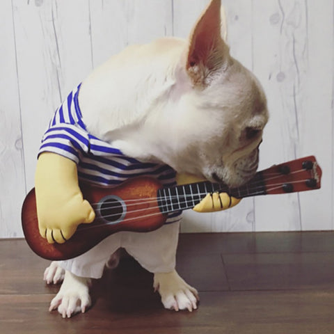 Pet Guitar Costume- Groomy