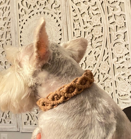 Hand-knitted Dog Collar and Leash Set - Groomy