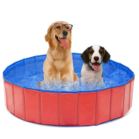 Dog Swimming Pool - Foldable & Collapsible | GROOMY