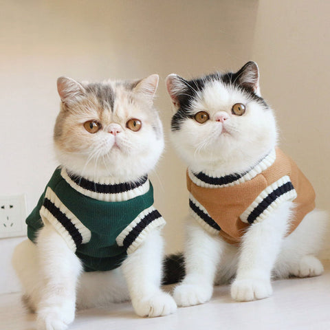 Cat Sweater - Dog & Cat Apparel | GROOMY