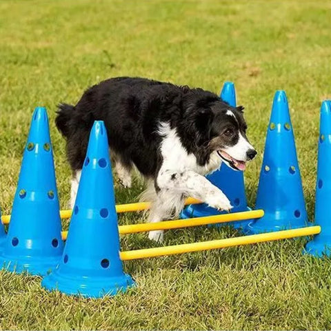 Dog Agility Cones and Poles - Type B | GROOMY