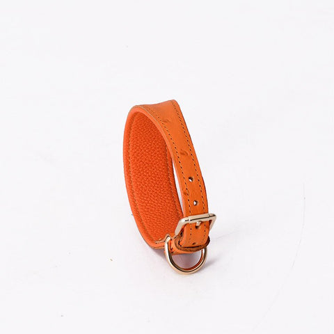 Leather Dog Collar - Solid Color - Groomy