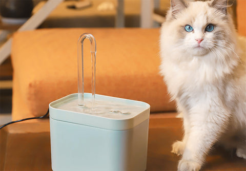 Automatic Cat Water Fountain - Type B | GROOMY
