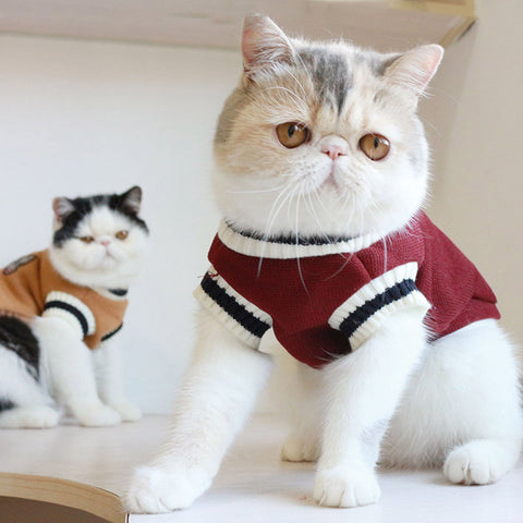 Cat Sweater - Dog & Cat Apparel | GROOMY